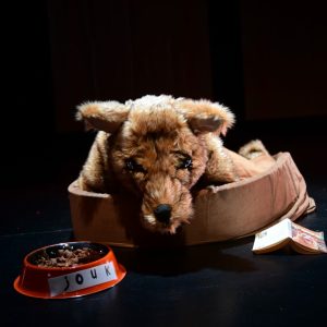 Spectacle Hautes-Pyrénées